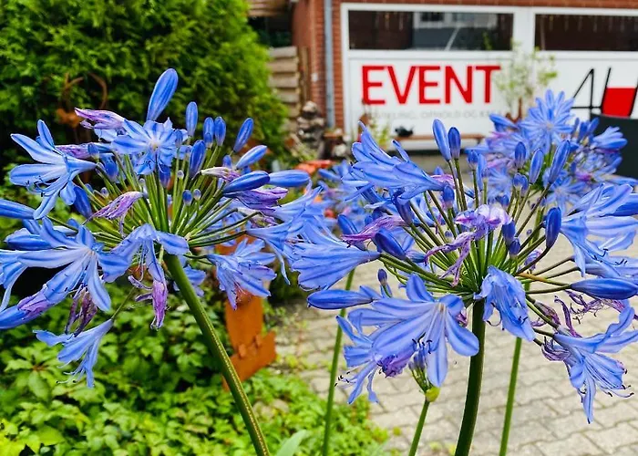 Hyggeligt Ved Glasvaerkstedet Pa Nordmors Sejerslev